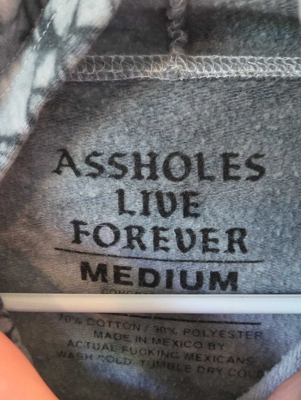 Assholes Live Forever Hoodie - Picture 3 of 5